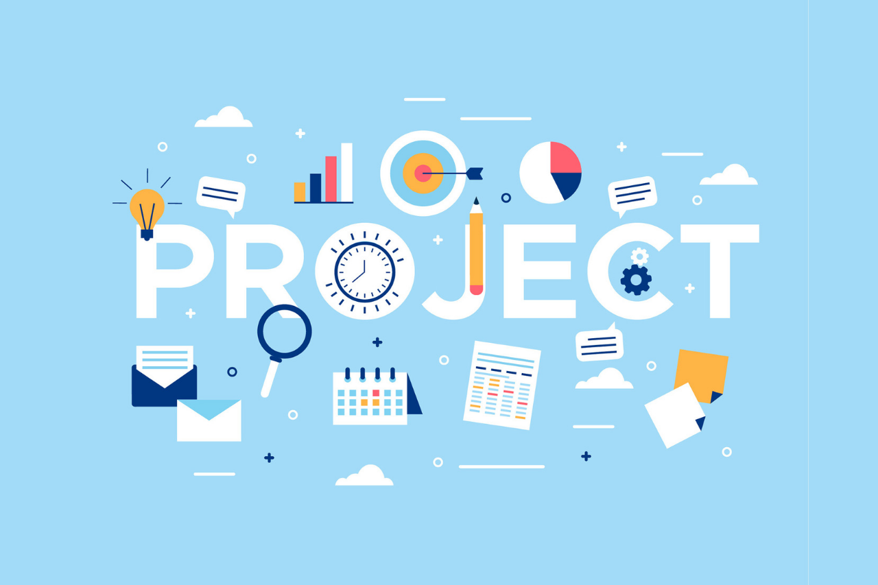 Project Manager Professional PMP